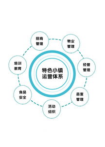 專訪光合文化創(chuàng)意集團(tuán)董事長趙興朋 特色小鎮(zhèn)是個(gè)有機(jī)生命體，數(shù)字文化創(chuàng)意內(nèi)容的應(yīng)用與服務(wù)