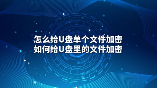 U盤文件加密指南 從單個文件到批量保護與專業(yè)軟件開發(fā)
